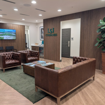 LSI Companies